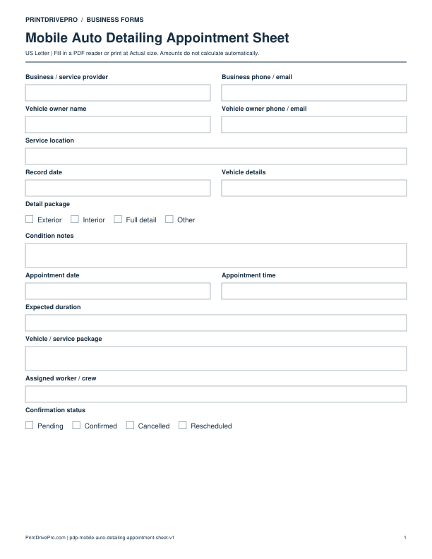 Preview of Mobile Auto Detailing Appointment Sheet