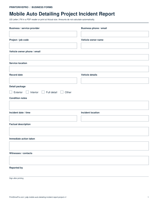 Preview of Mobile Auto Detailing Project Incident Report