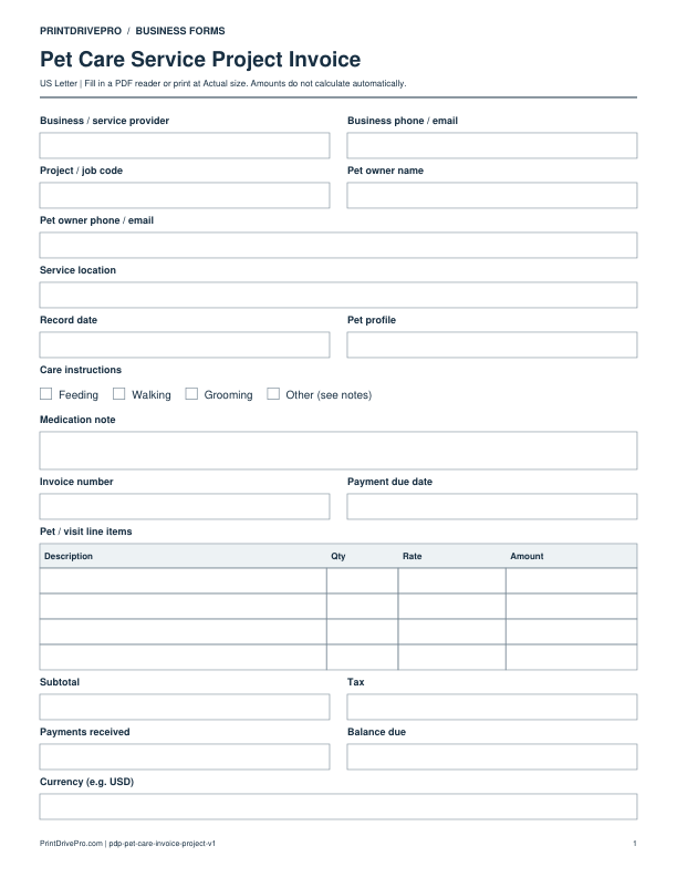 Preview of Pet Care Service Project Invoice