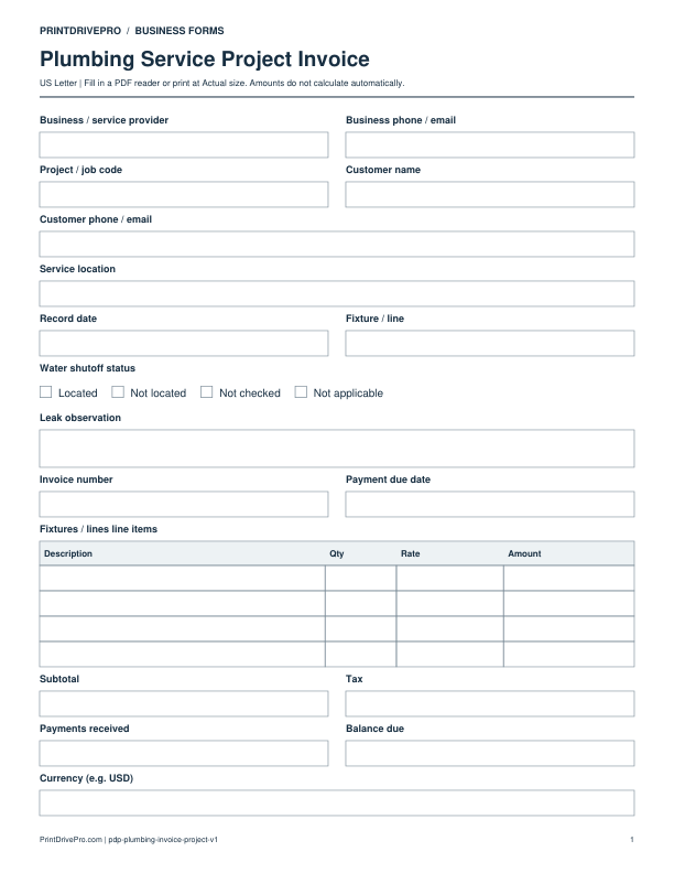 Preview of Plumbing Service Project Invoice